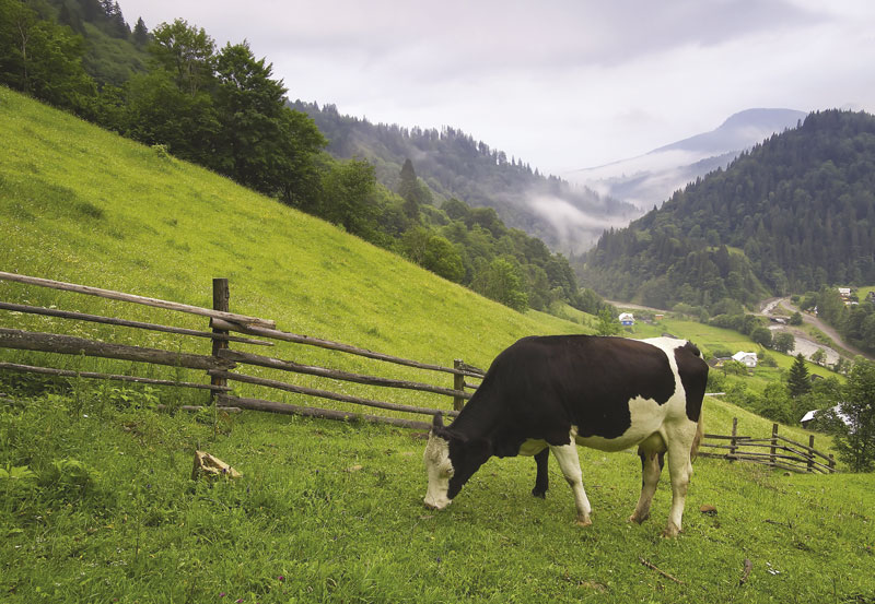 Calidad y medioambiente