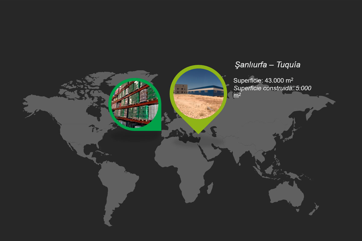 Internacionalización